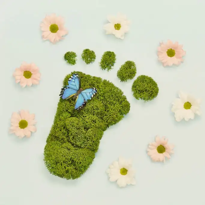 Eine symbolische Darstellung auf hellblauem Hintergrund: Ein menschlicher Fußabdruck, geformt aus sattgrünem Moos, auf dem ein leuchtend blauer Schmetterling mit dunklen Flügelrändern sitzt. Der Abdruck ist im Kreis von einzelnen, zarten rosa und weißen Blüten umgeben.